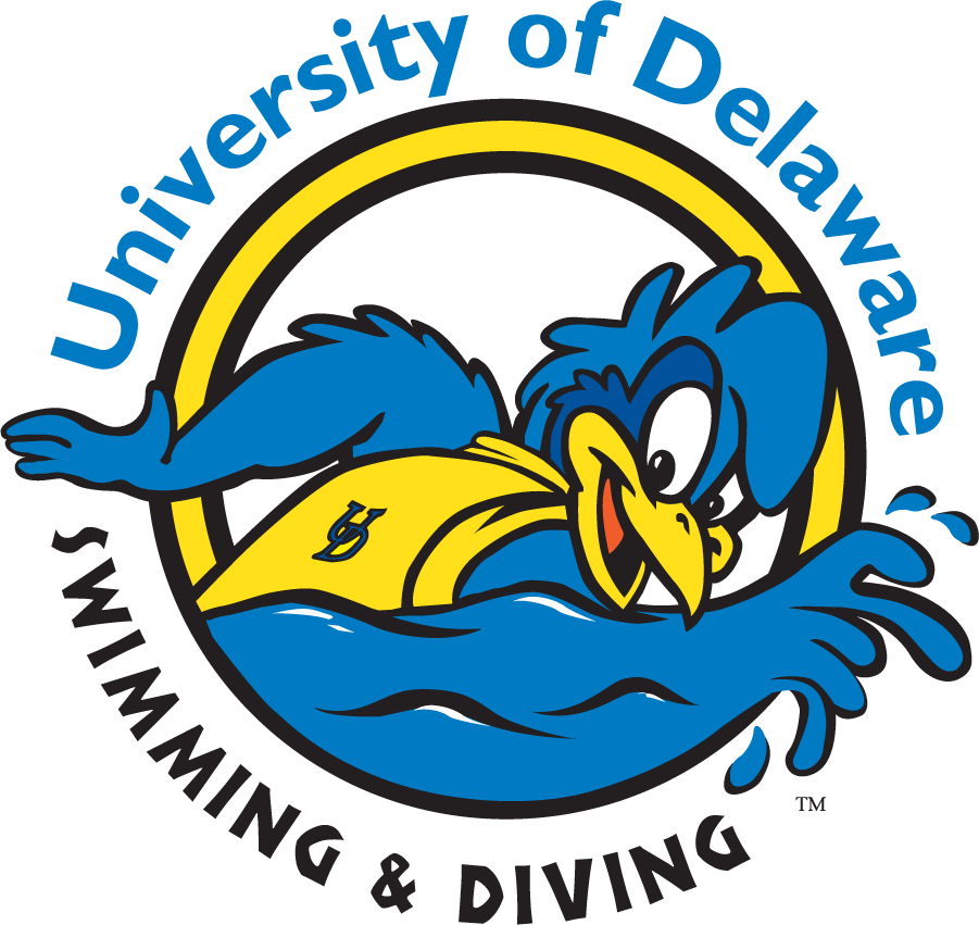Delaware Blue Hens 1999-2009 Mascot Logo v9 DIY iron on transfer (heat transfer)